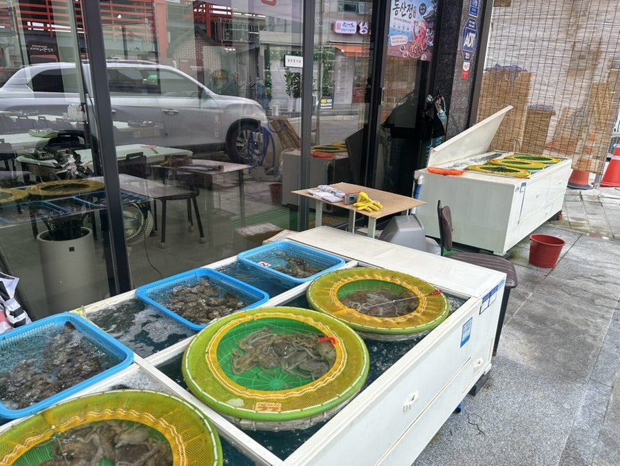 공항맛집 사진 8