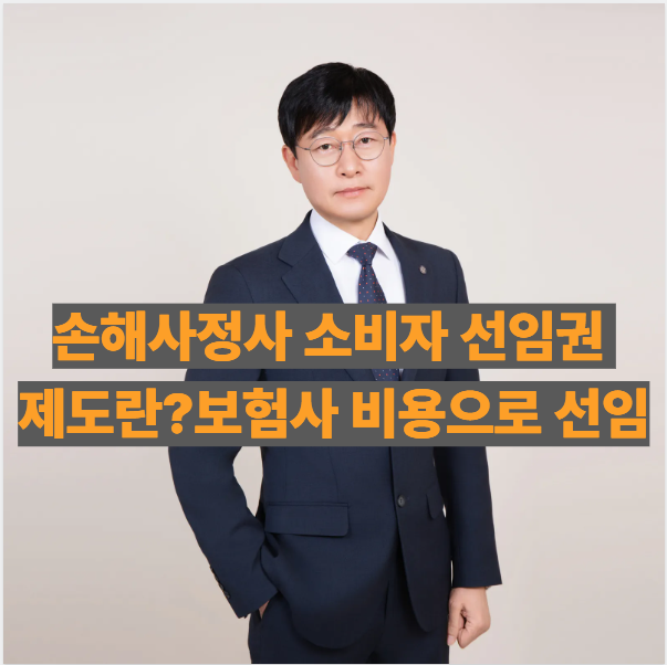 손해사정사 소비자 선임권 제도란? 보험사 비용으로 선임하는 방법과 신청 절차