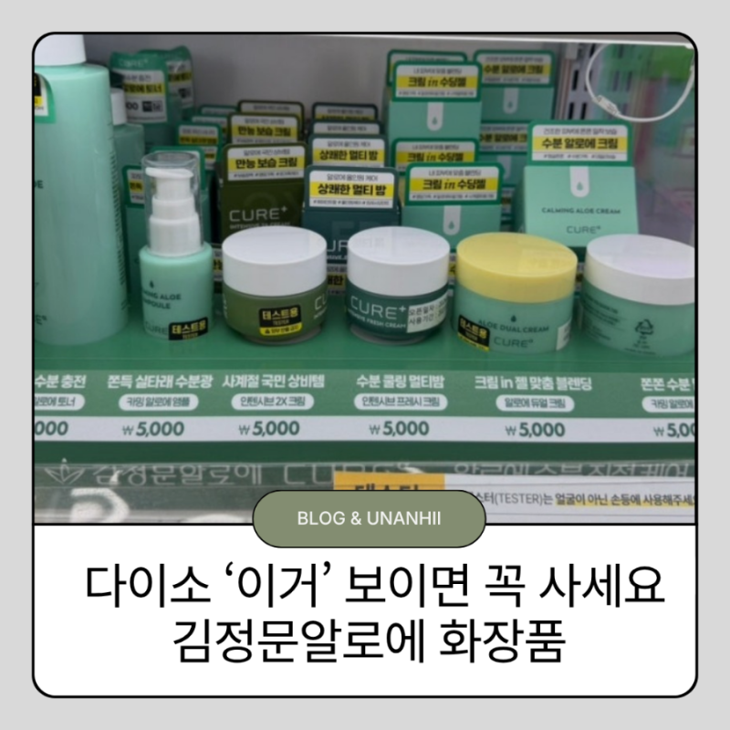다이소 ‘이거’ 보이면 꼭 사세요 SNS 국민 상비템 김정문알로에 화장품