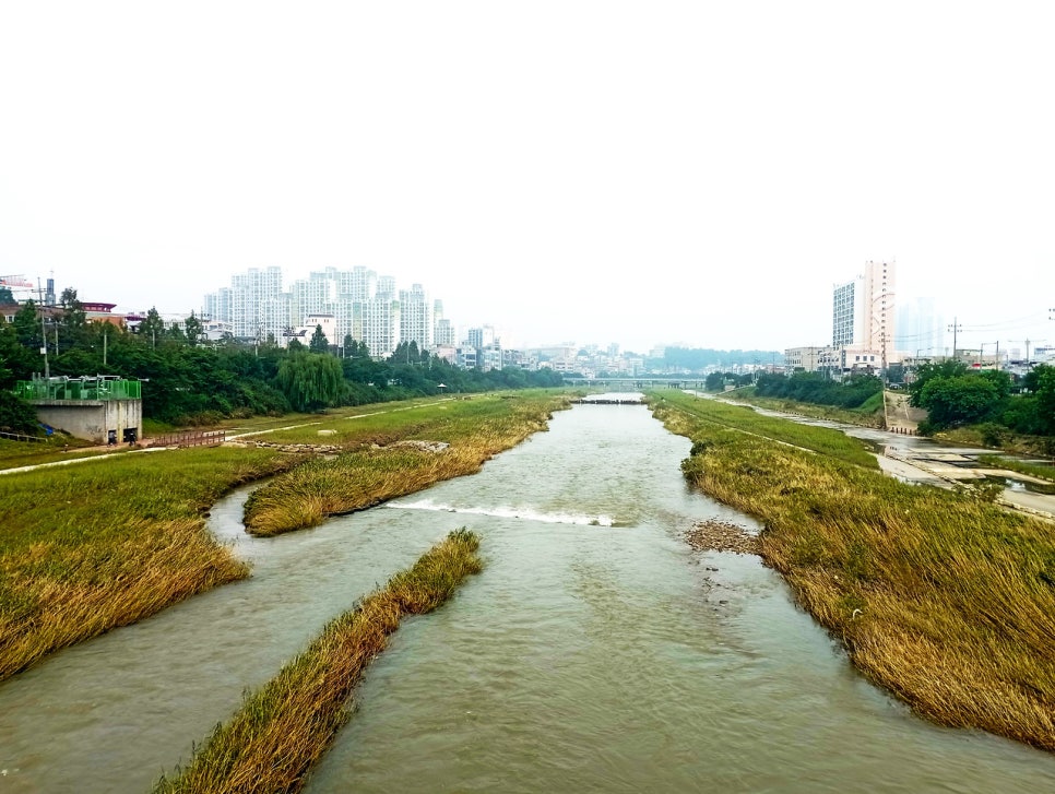 매봉산 사진 6
