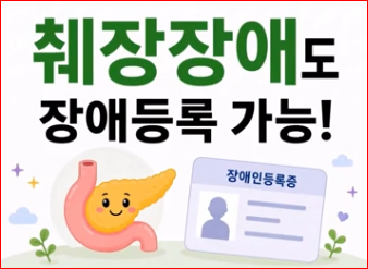 당뇨병으로 힘드신가요? 2026년 7월 신설 '췌장 장애' 등록 서류와 등록 혜택 등 신청 방법 ....