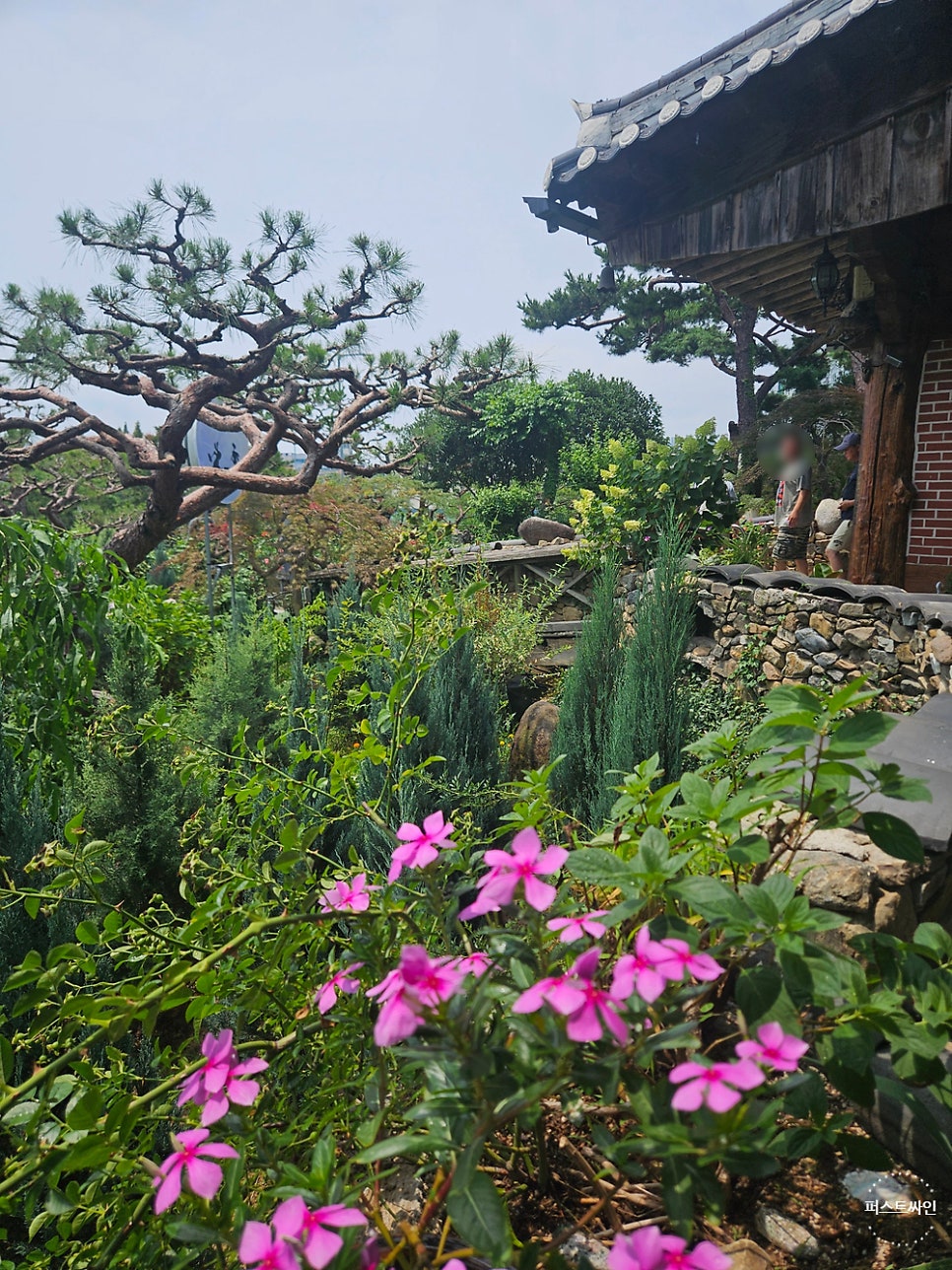 달맞이흑두부 화순동면점 사진 6