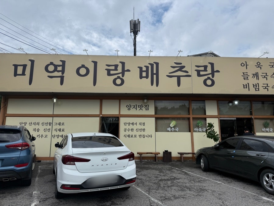 양지맛집 미역이랑배추랑 사진 2