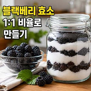 블랙베리 효능 부작용 먹는법과 효소 담는법, 보관법