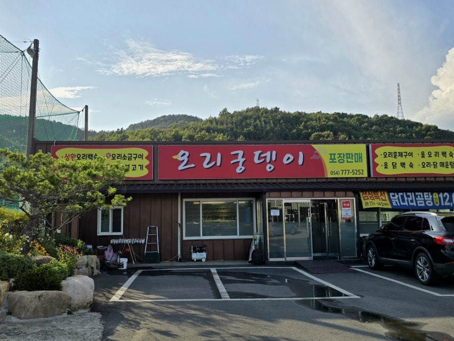 오리궁뎅이 사진 2