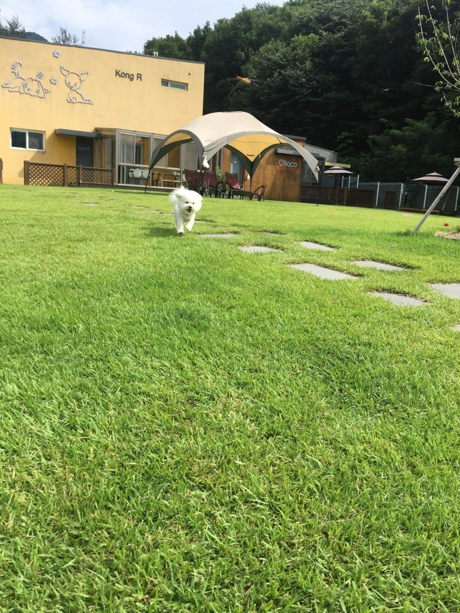 콩알펜션 사진 1