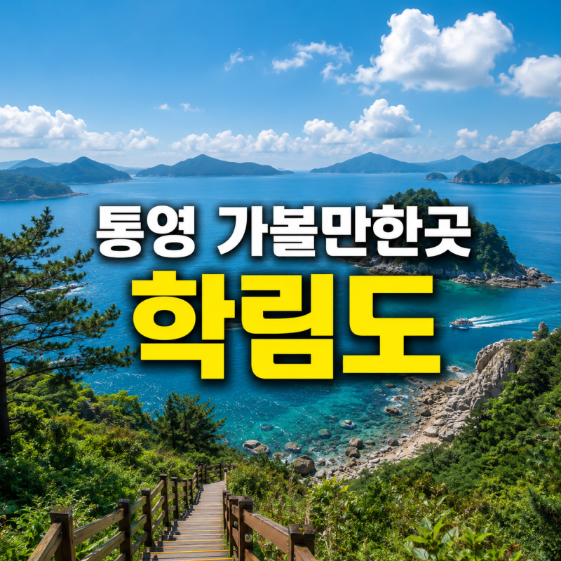 통영 가볼만한곳 학림도 배시간 요금 및 방파제 낚시 포인트 총정리