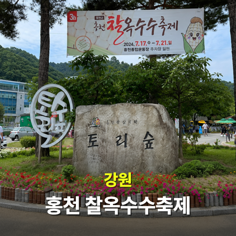 2026 홍천 옥수수축제 일정·초대가수·주차·먹거리 총정리
