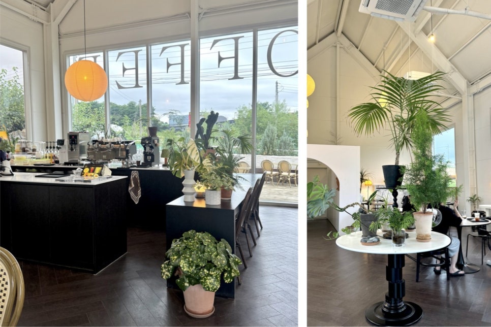 죽백화커피클럽 사진 4