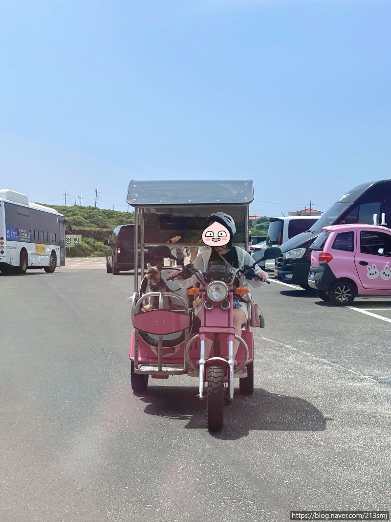 우도 전기차 애견동반 가능한 걸리버여행기에서 빌린 솔직후기