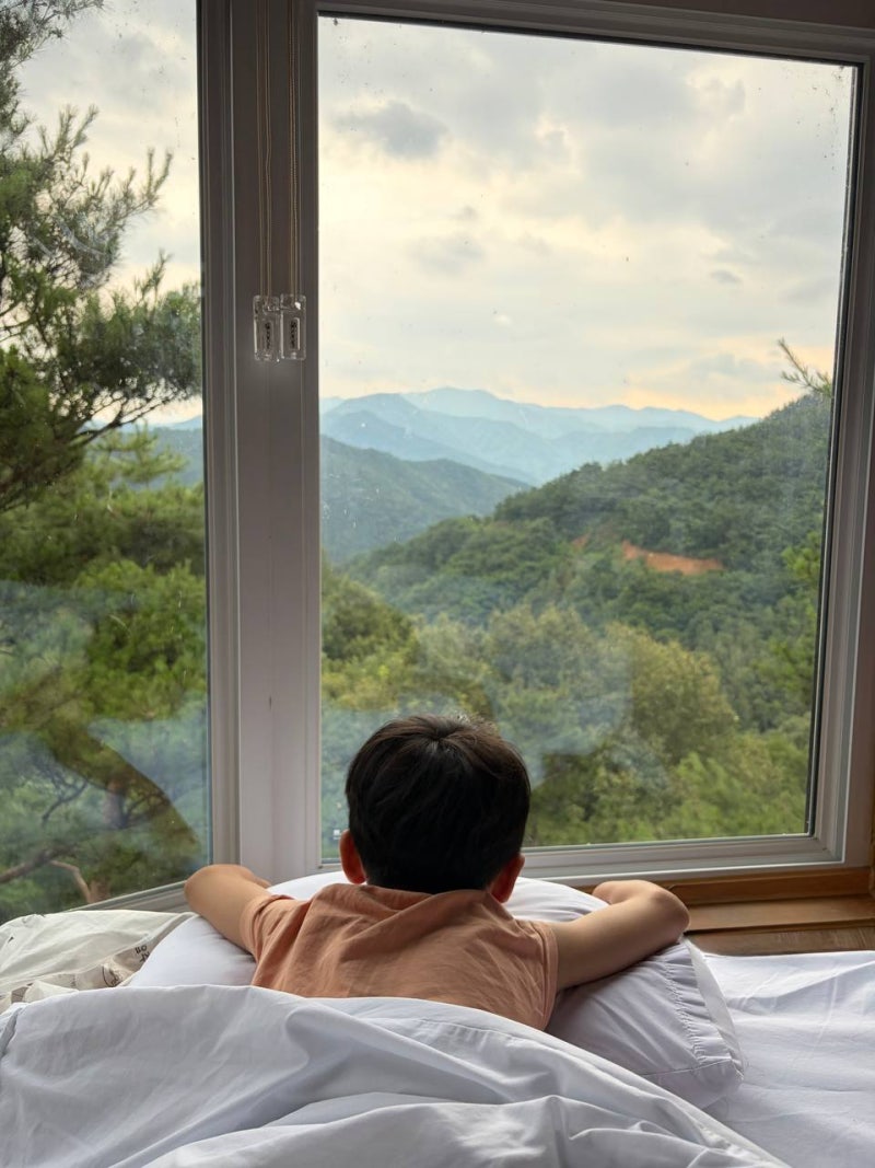 무주 향로산 자연휴양림 트리하우스 후기 나무 속에서 자는 우리 아이들, 가족여행 강추 리....