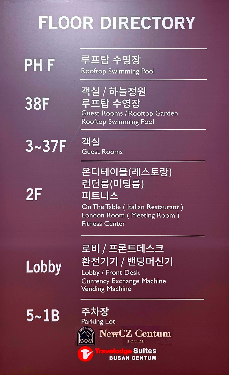 온더테이블 사진 5