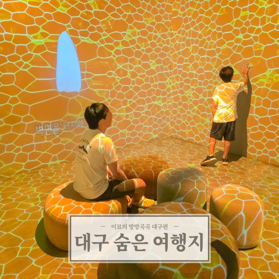 새산호복어 사진 1