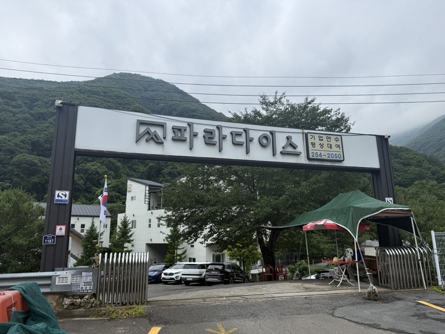 파라다이스 사진 3