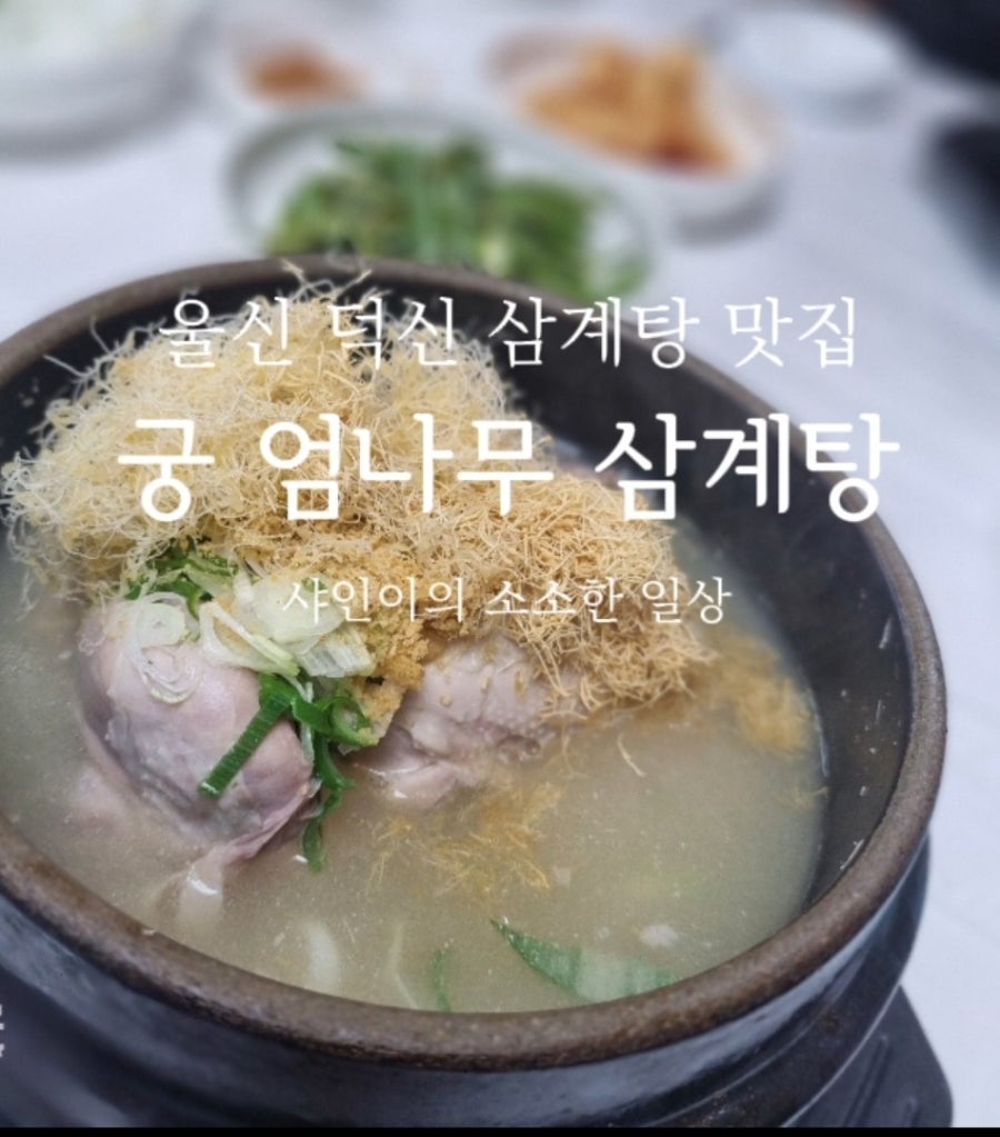 궁엄나무삼계탕 사진 1