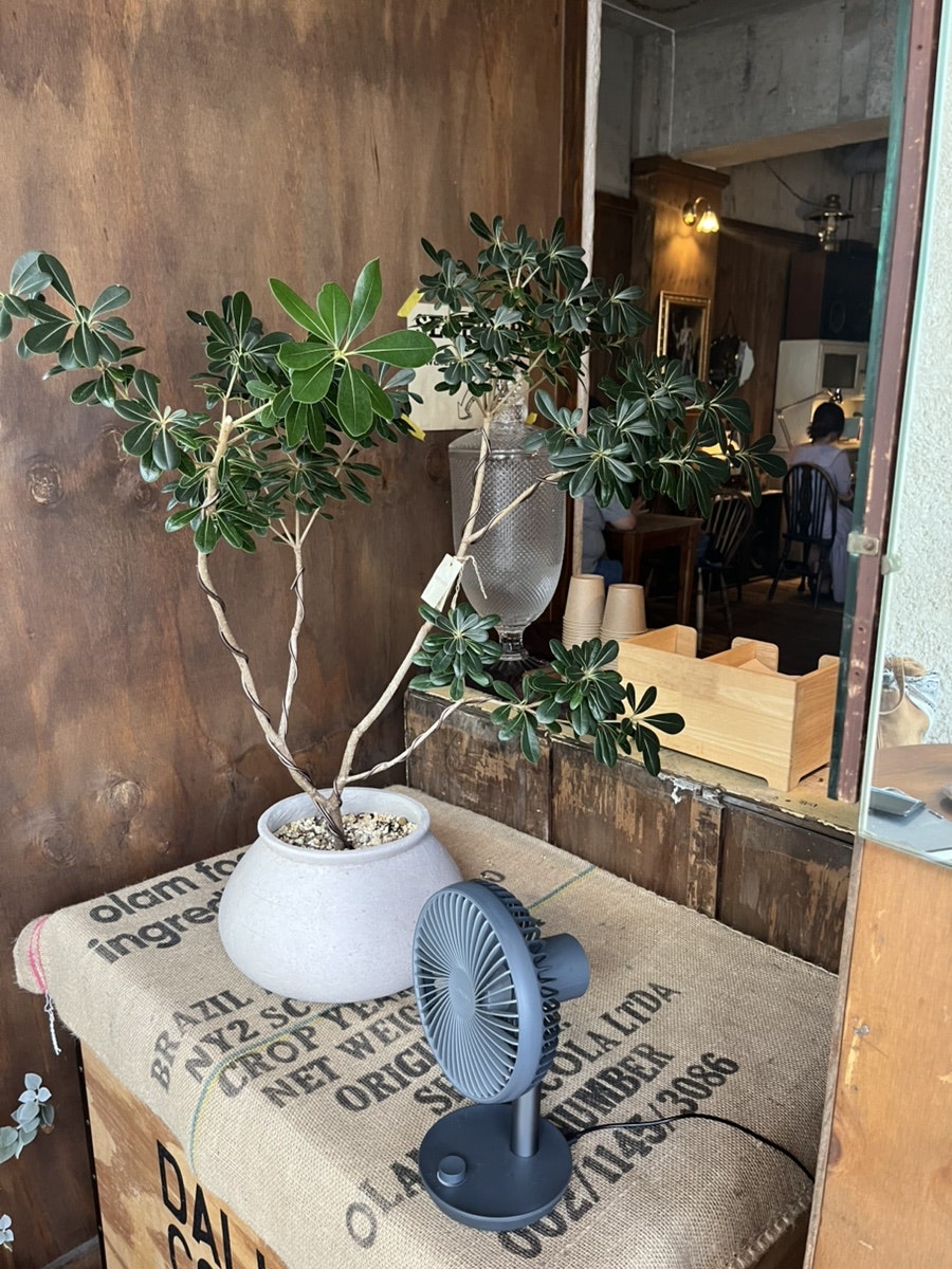 프랭크커핀바 광주동명점 사진 8