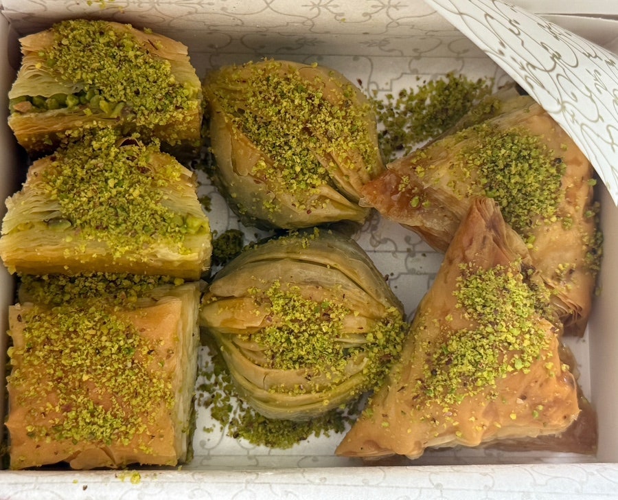 하네단 사진 1