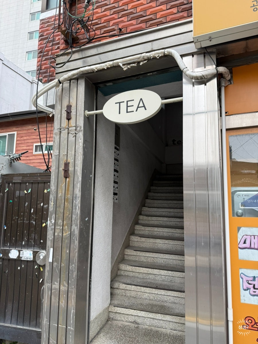 티르르 사진 2