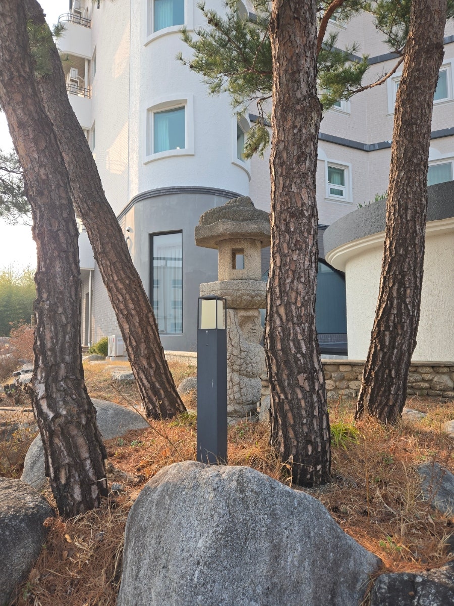 MGM호텔 사진 2