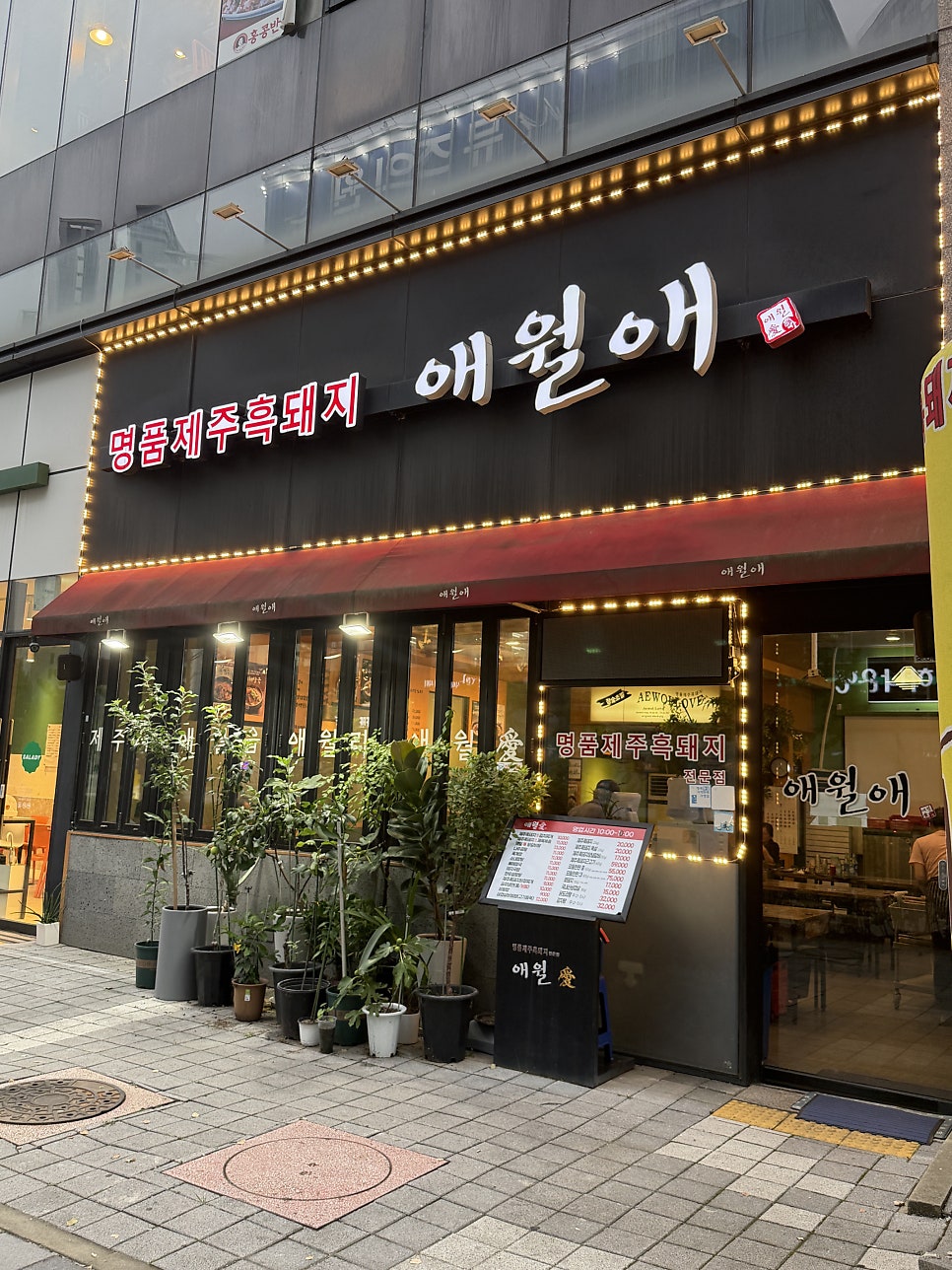 애월애 사진 2