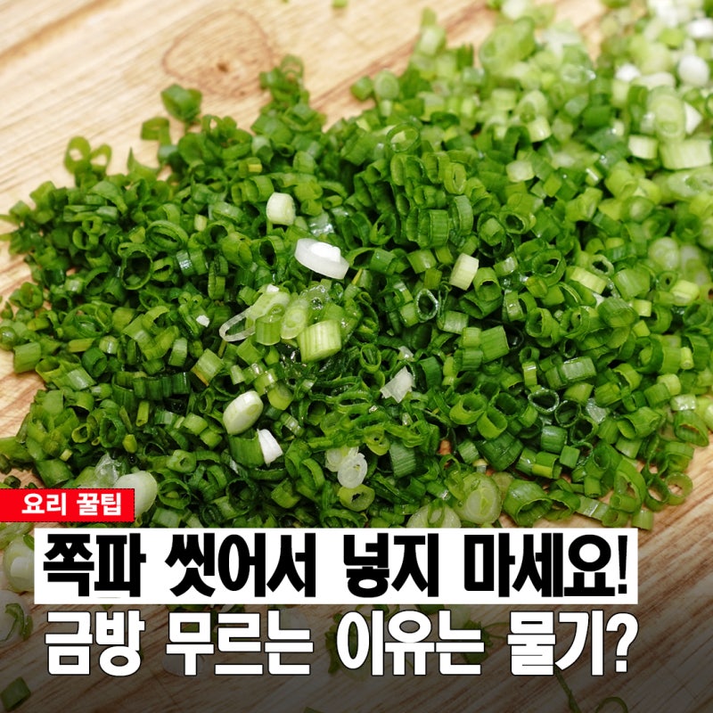 씻어서 바로 넣지 마세요! 2주 이상 싱싱하게 먹는 쪽파 보관법