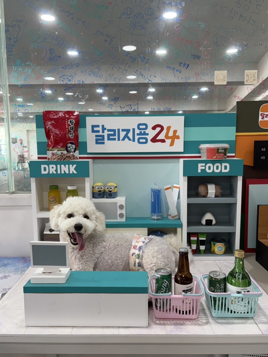 달리지용 사진 1