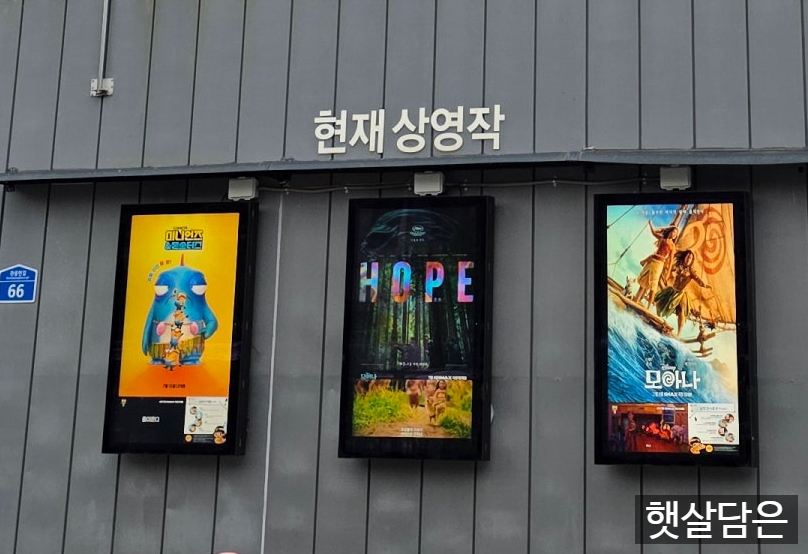 영월시네마 사진 2