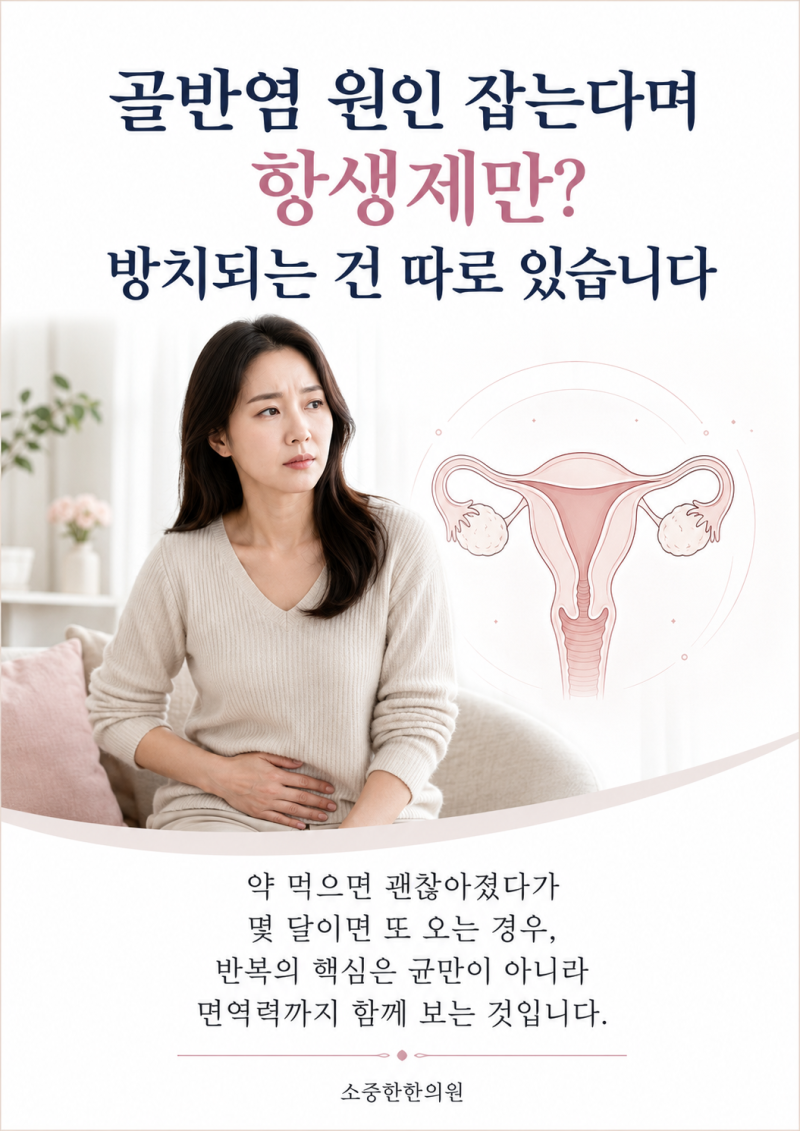 골반염 원인 잡는다며 항생제만? 방치되는 건 따로 있습니다