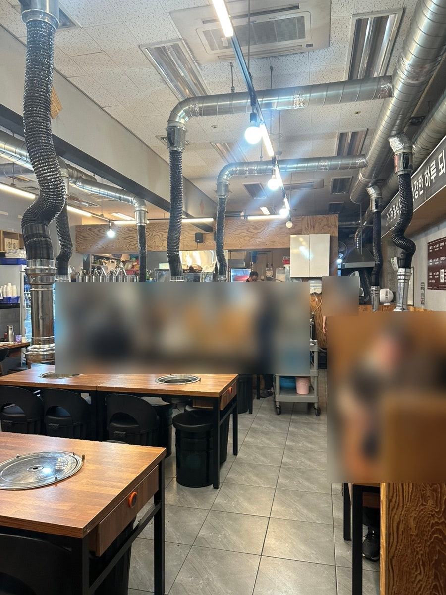 동탄갈매기 사진 3