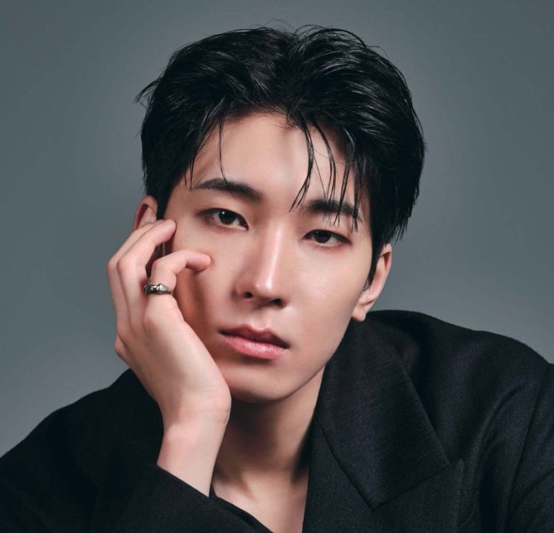 SEVENTEEN Wonwoo - 'Spring, Summer, Fall, Winter': MV, Listen, Lyrics, Korean & Japanese Versions, Pronunciation Analysis