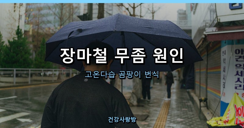 장마철 무좀 관리법, 신발 하나만 바꿔도 확 줄어듭니다