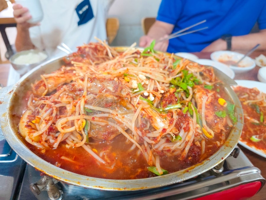 새산호복어 사진 5