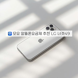 너겟49요금제 LG유플러스 역대급 네이버페이 혜택! 모요 알뜰폰요금제 변경 추천후기+NFC유심