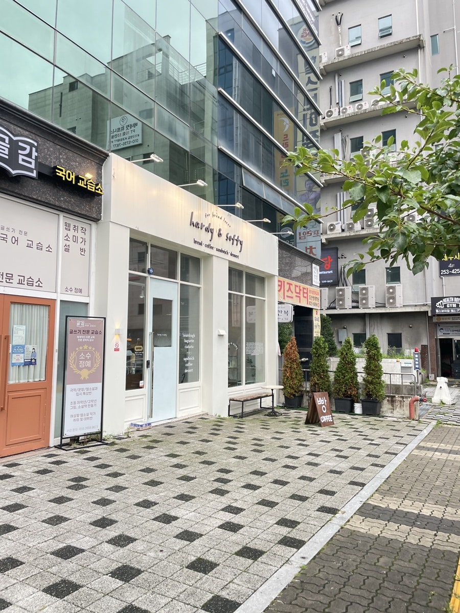 하디앤소프티 사진 2
