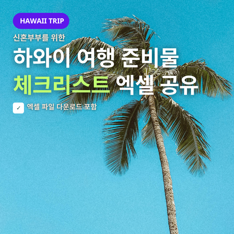하와이 여행 준비물, 신혼부부 사전 체크리스트 엑셀 제공