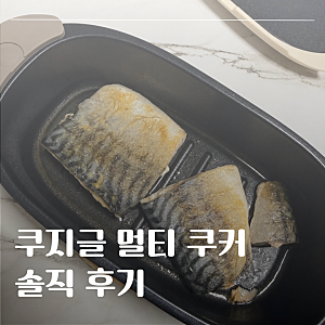 전자레인지로 생선구이가 된다고?!｜쿠지글 멀티쿠커 솔직후기