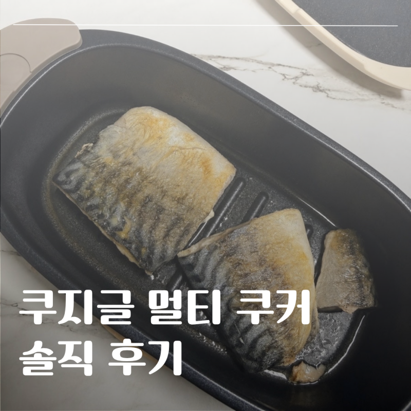 전자레인지로 생선구이가 된다고?!｜쿠지글 멀티쿠커 솔직후기