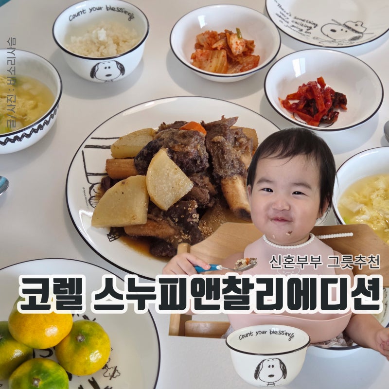 코렐 스누피앤찰리에디션 신혼부부 아이 식기 추천