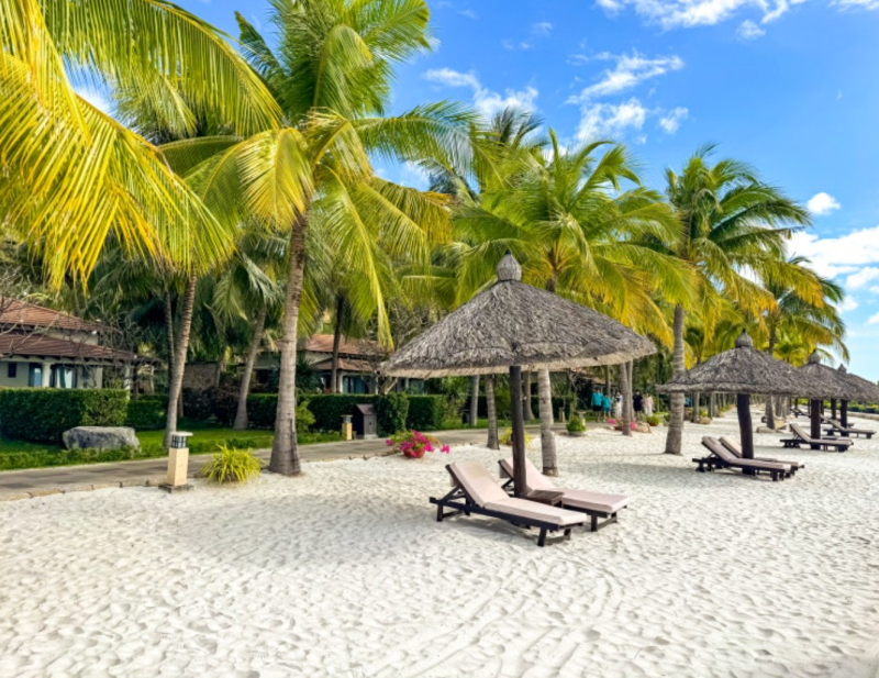 나트랑 가족여행은 이렇게 짜야 편합니다, 아이도 부모님도 만족하는 현실 코스