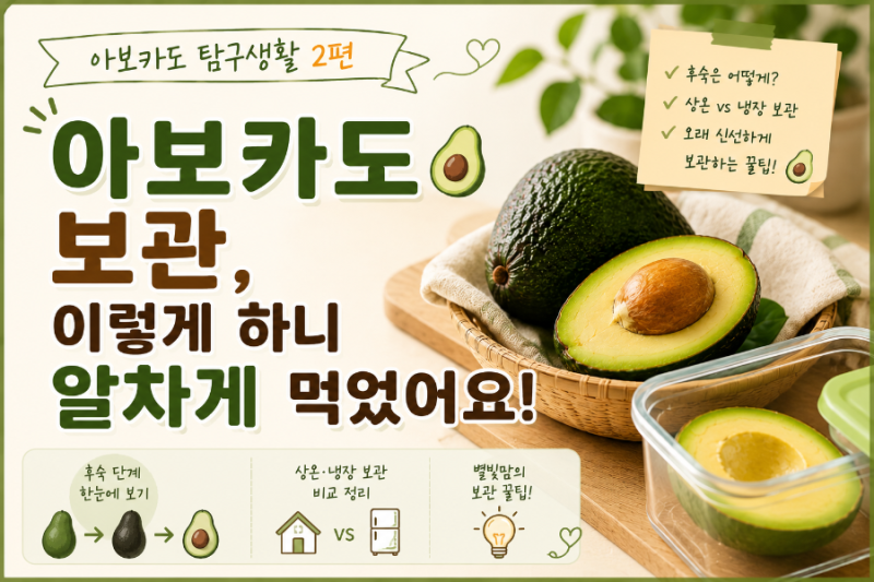 [아보카도 탐구 2편] 아보카도 후숙부터 보관까지! 많이 사도 알차게 먹는 별빛맘의 실전 꿀....