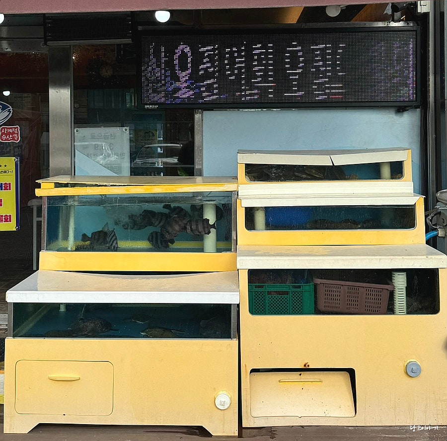 사계절수산 사진 5