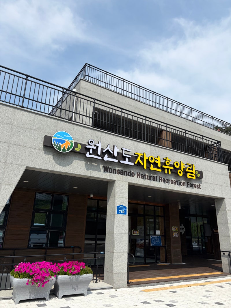 [충청도]원산도 자연휴양림 솔향채 숙박 후기/숲과 바다를 함께 즐기는 보령 가족여행 2박 3....