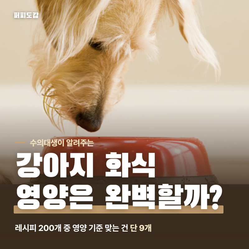 강아지 화식 레시피 따라할 때 주의할 점 (feat. 칼슘)