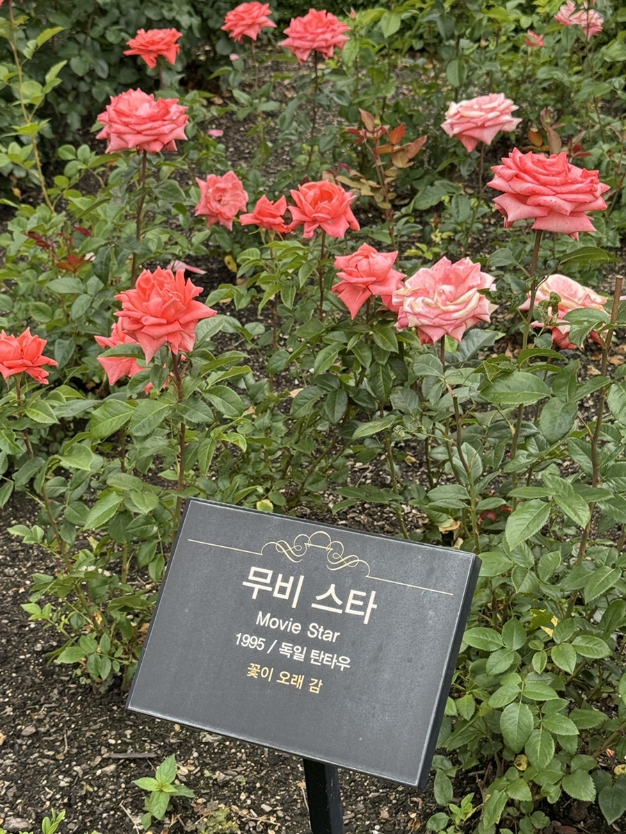 네츄럴커피스톨 사진 5