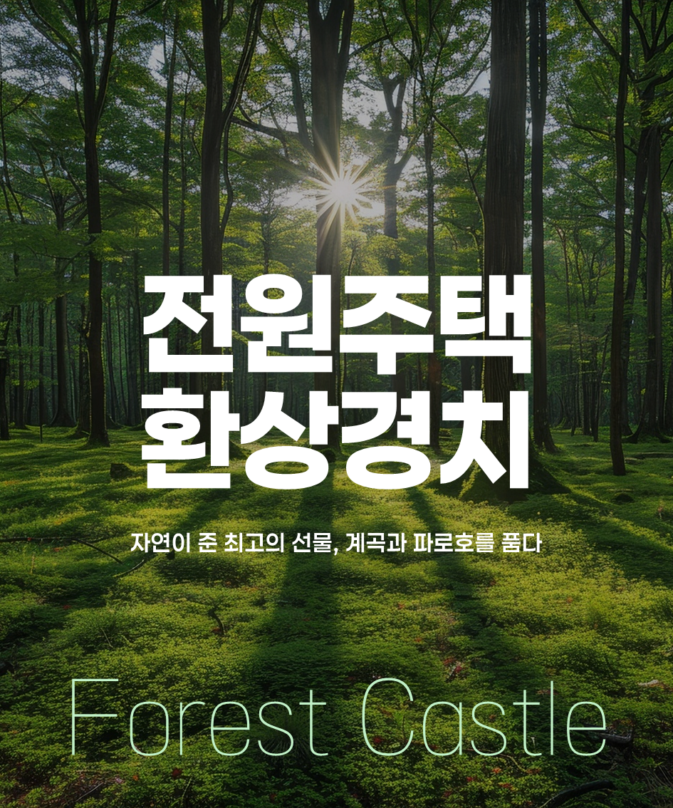 포레스트 사진 1