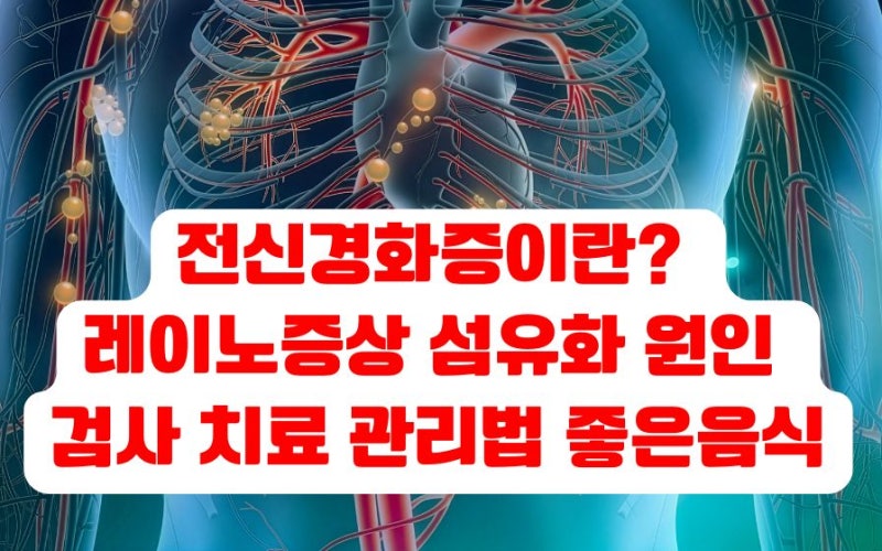 전신경화증이란? 레이노증상 섬유화 원인 검사 치료 관리법 좋은음식