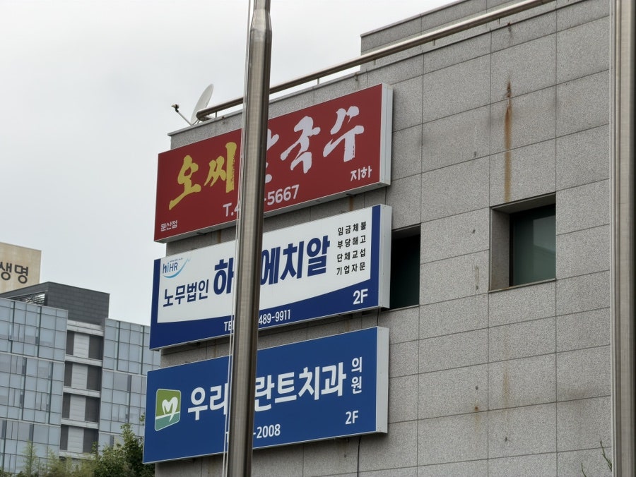오씨칼국수 둔산점 사진 2