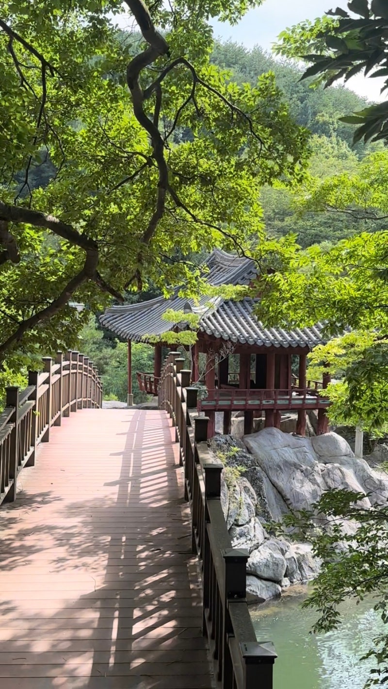 [함양 거연정] 경남 함양 가볼만한 곳 정자 신선놀음 계곡 추천ㅣvs 화림동 물놀이 계곡 농월....