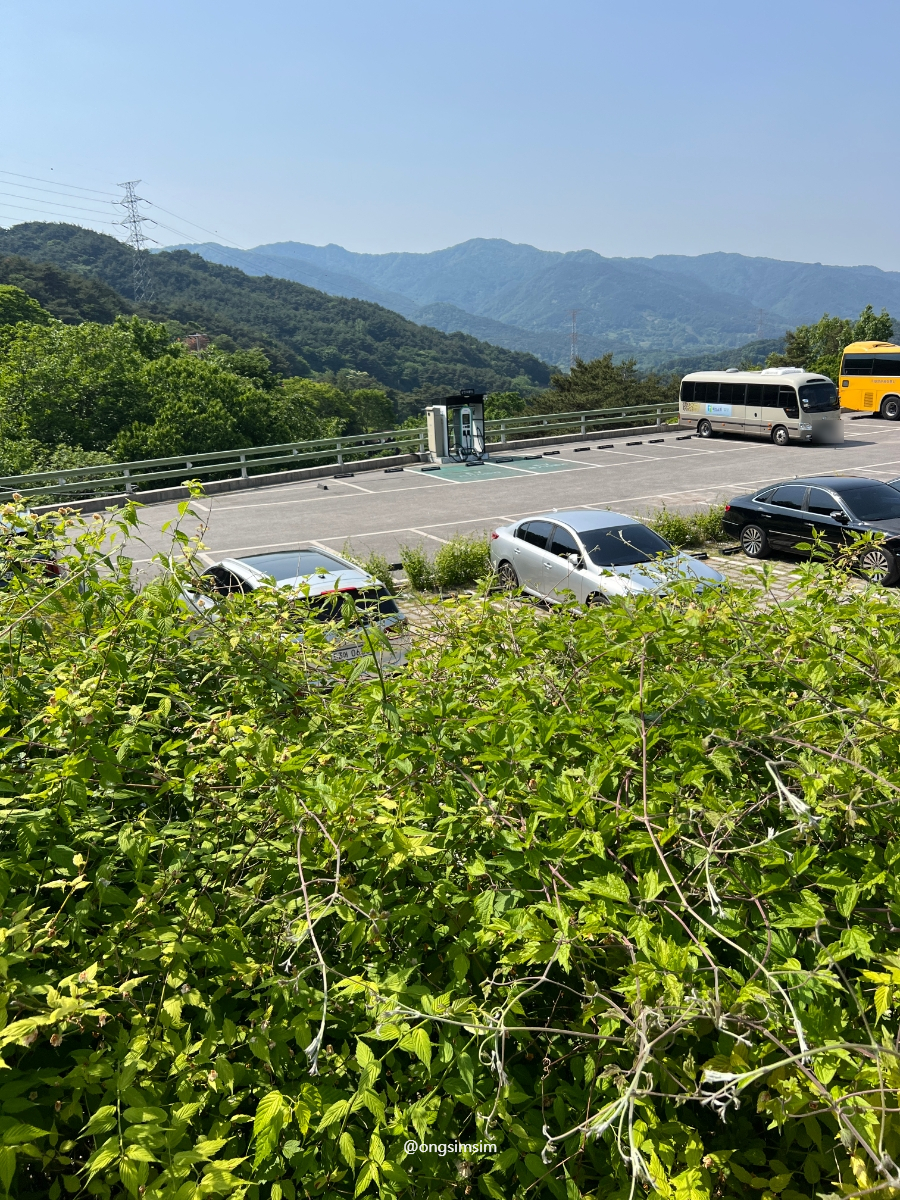 구례수목원 사진 4