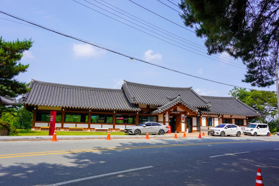 그라제147 사진 2